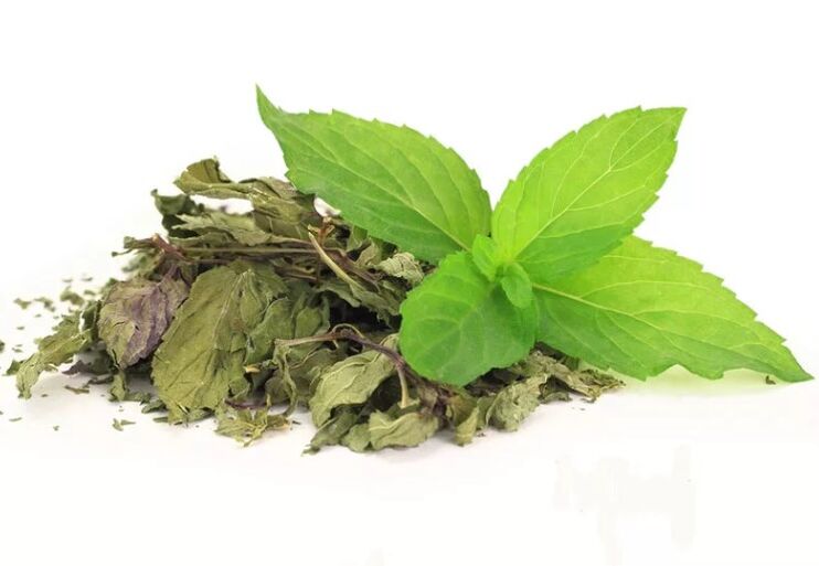 Зелен чай в абслейм